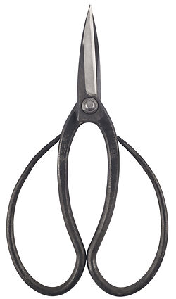 Taira Kubo Scissors