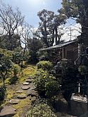 Temple roji