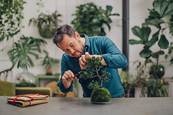 Niwaki Workshops: Bonsai Formation and Care with James Wong