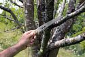 Niwaki Moku Pruning Saw 2