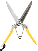 Niwaki Daikiba Clippers • Open