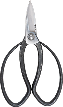 Niwaki Mainichi Desk Scissors