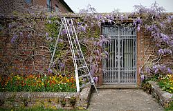 Niwaki Tripod Ladders