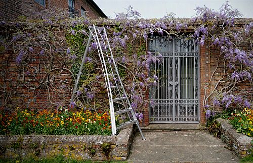 Niwaki Tripod Ladders