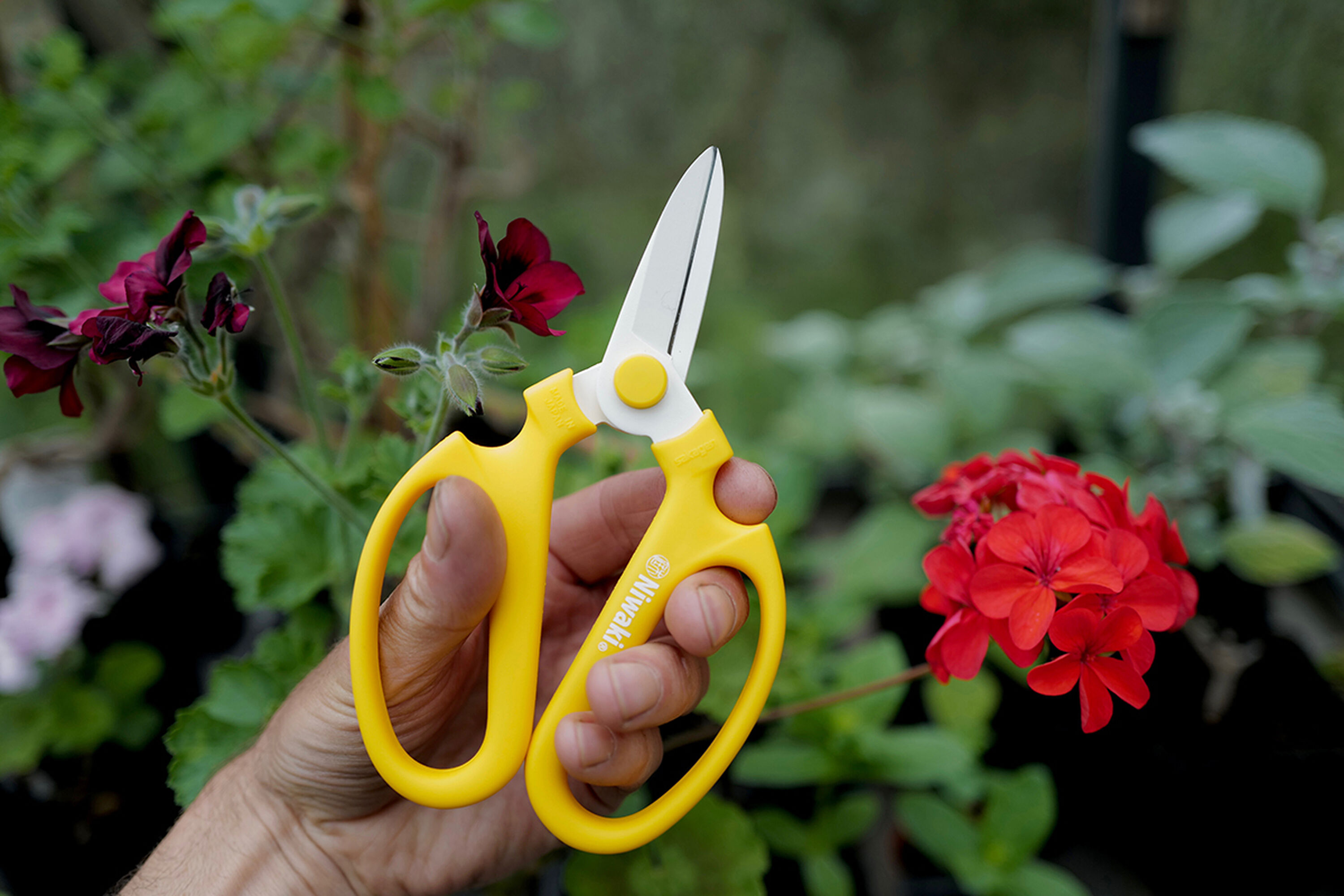 Niwaki x Sakagen Flower Scissors