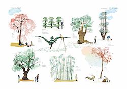 Trees in Japan, Poster