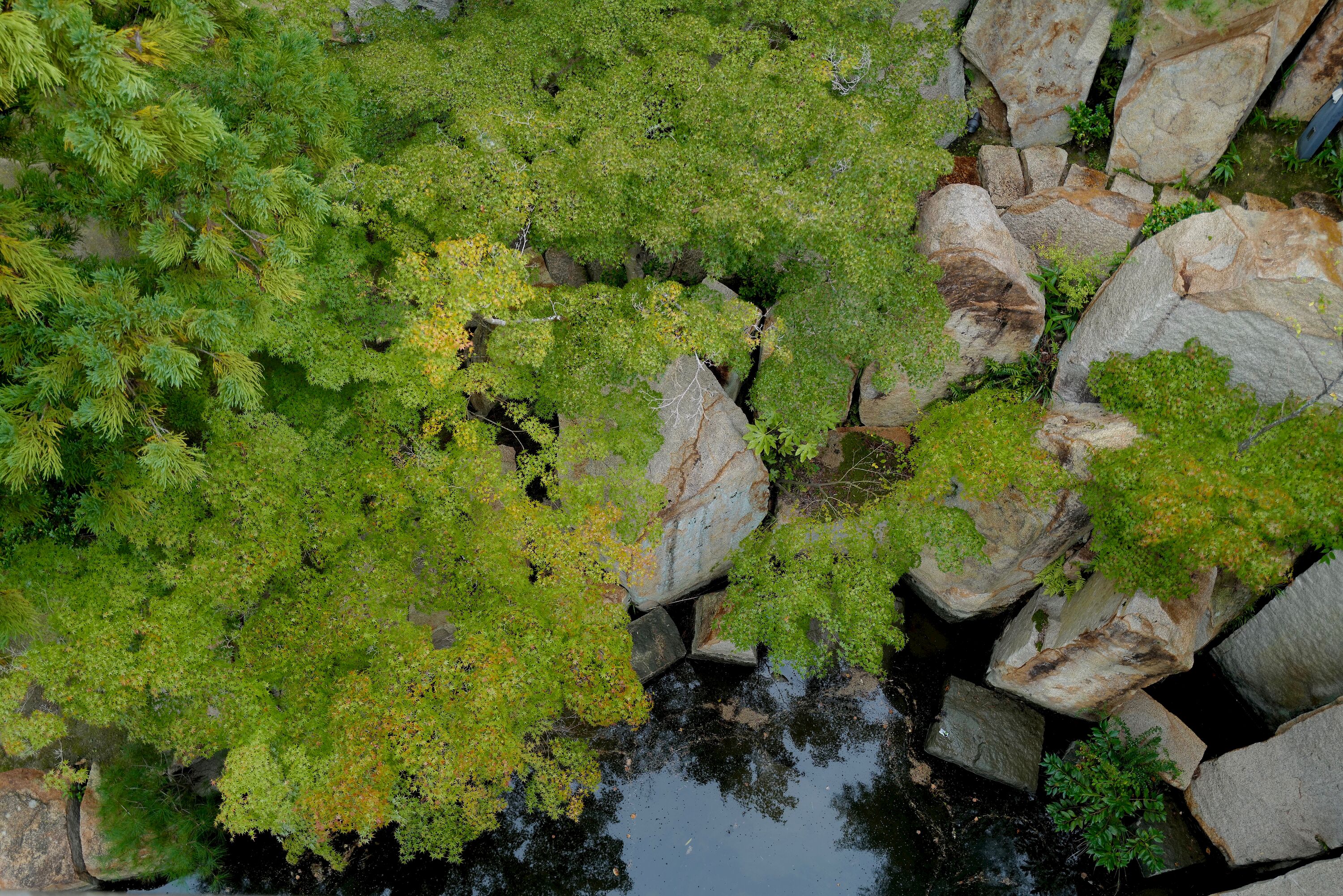 Niwaki Japanese Tripod Ladders, Fine Pruning Tools & Other Great