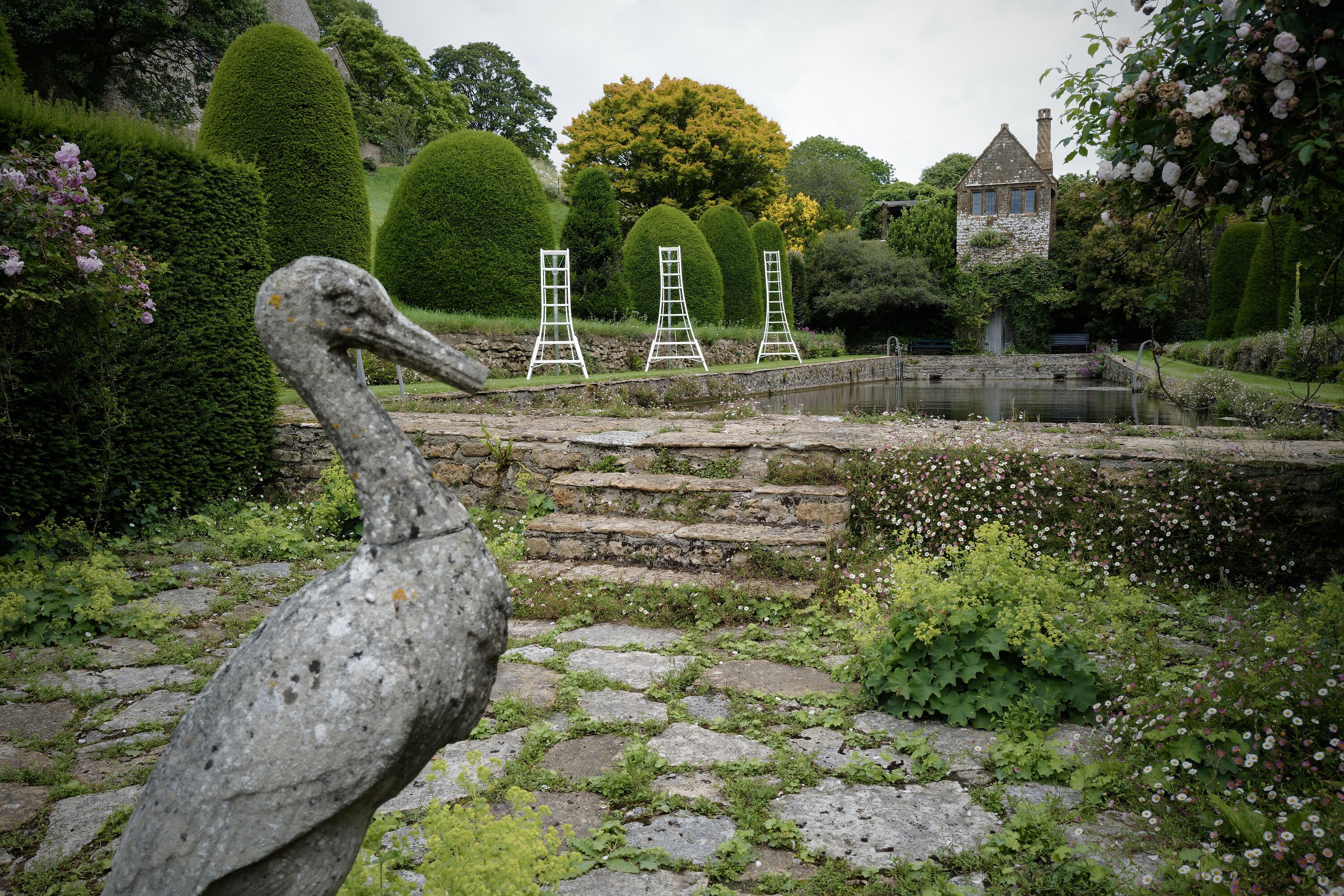 The Niwaki Tripod Ladders