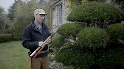 Choosing the right Garden and Topiary Shears