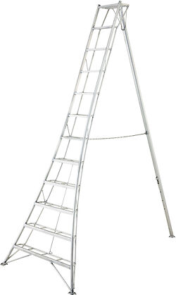 The 12' EN Pro Tripod Ladder