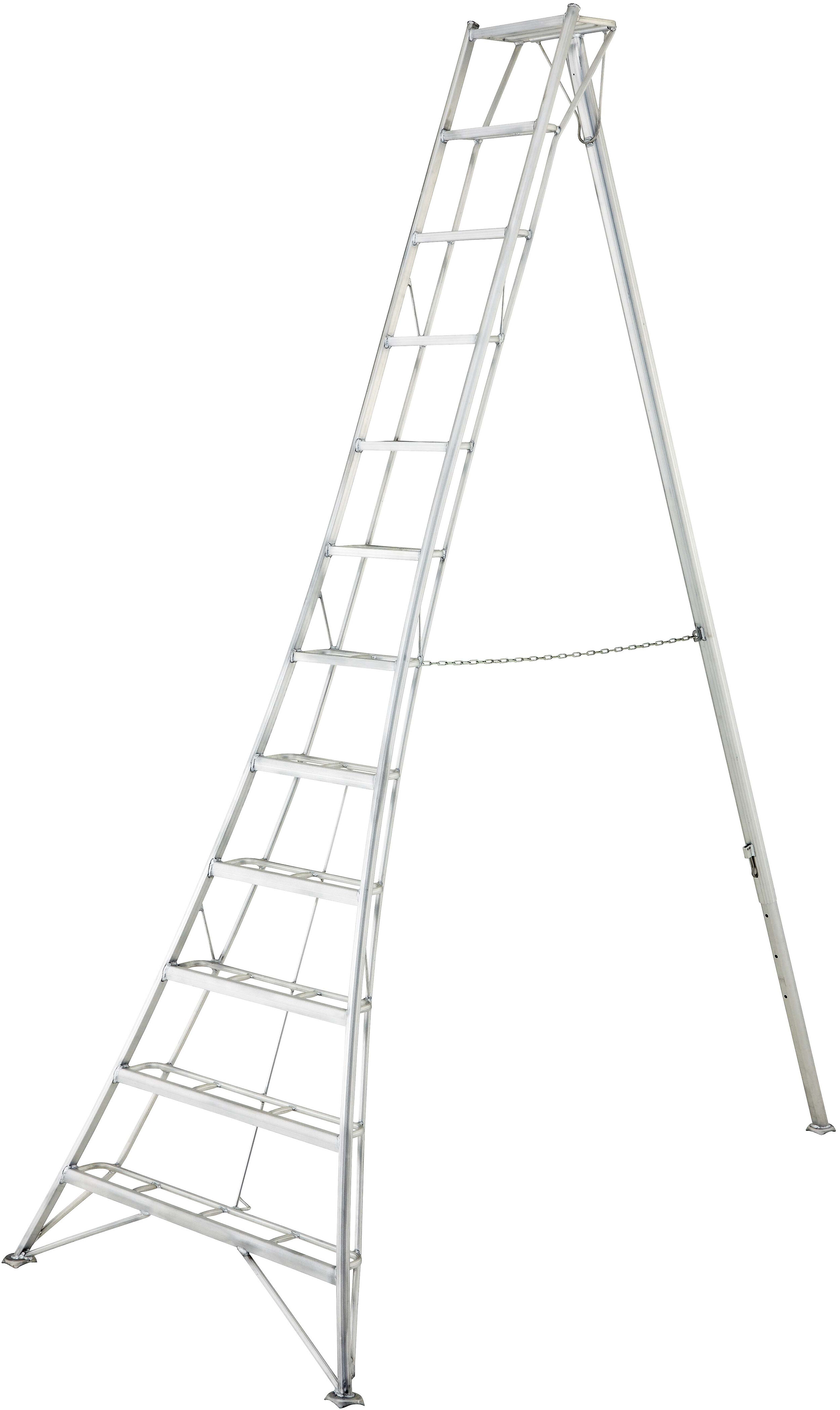 The 12' EN Pro Tripod Ladder