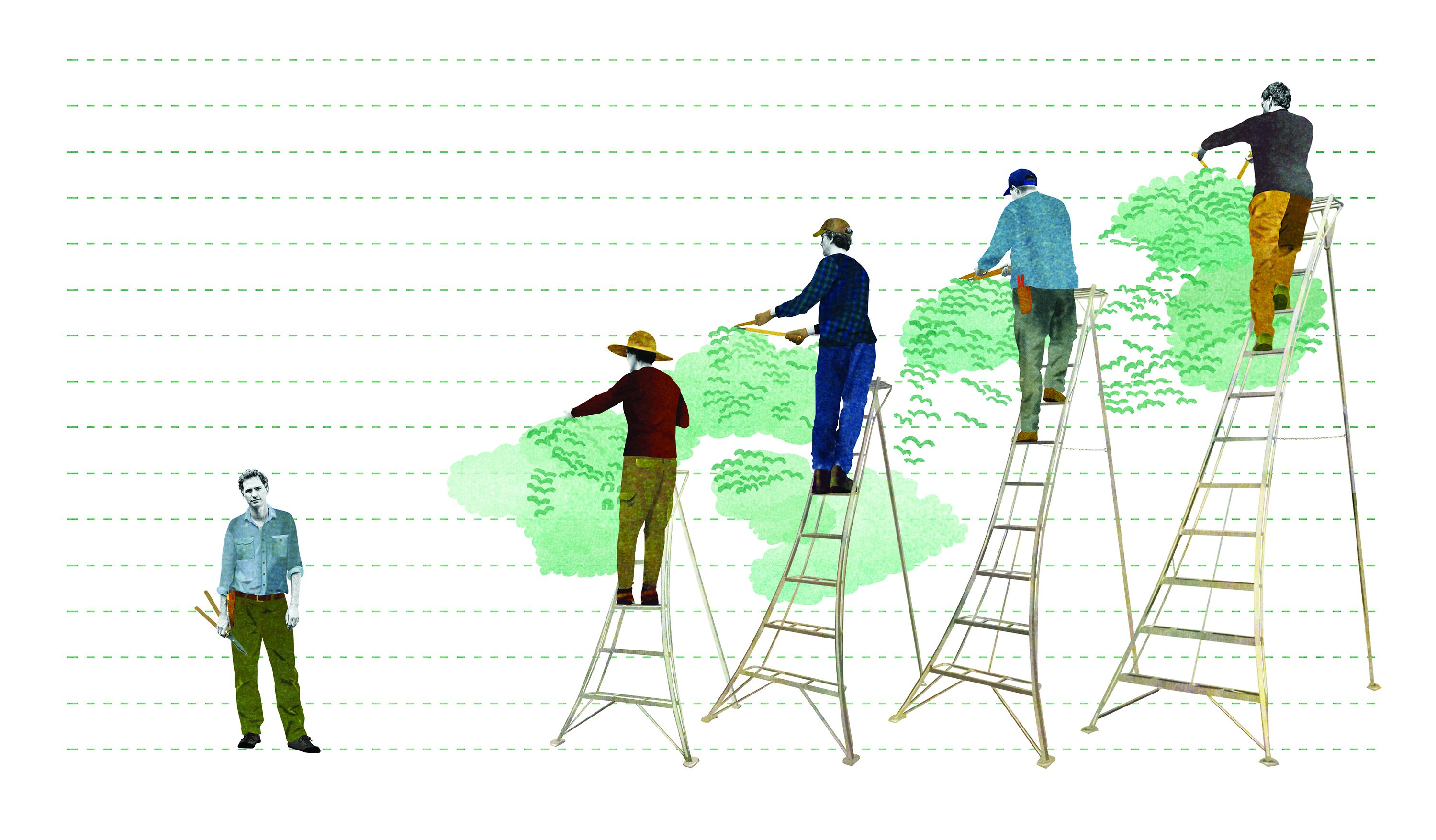 Tripod Ladder Comparison