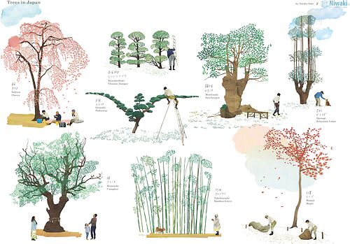 Trees in Japan, Poster