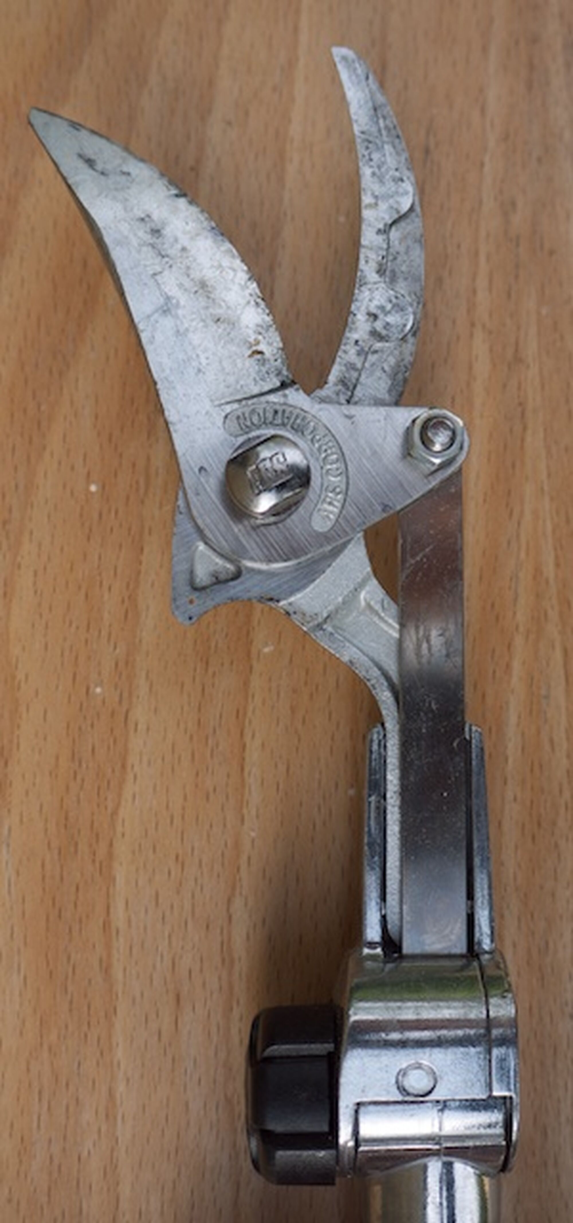 ARS Telescopic Pruner Niwaki